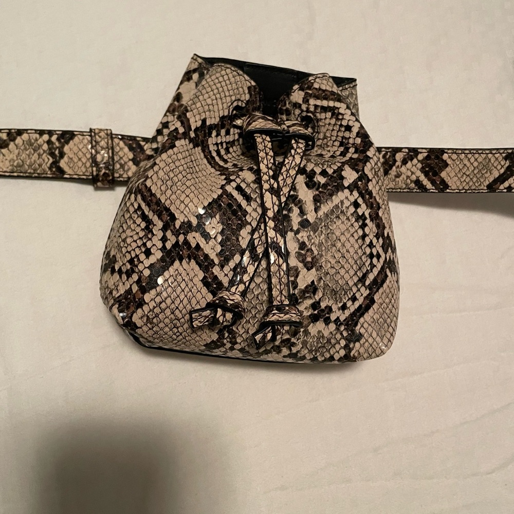 Fanny pack